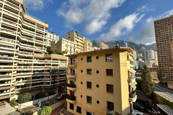 MONACO CARRÉ D'OR 2 PIECES EN USAGE MIXTE AVEC CAVE ET PARKING