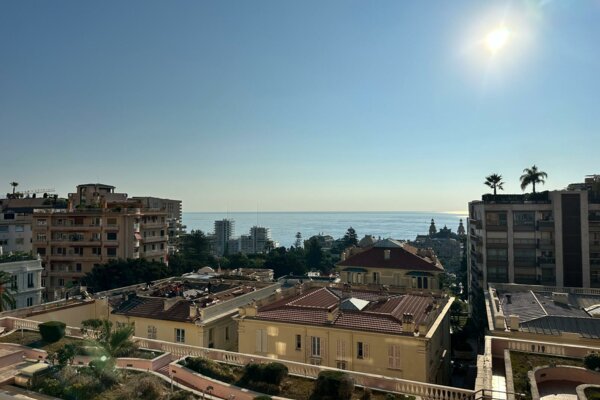 MONACO CENTRE RIVIERA PALACE 4 PIECES RENOVE MEUBLE MIXTE